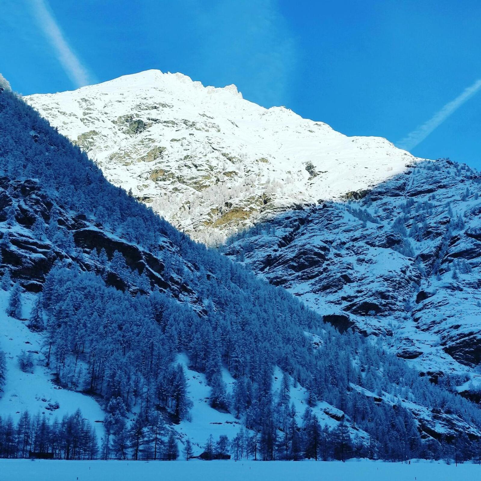 Monte Rosa Taesch, Apartments Mit Wellness Bereich Esterno foto